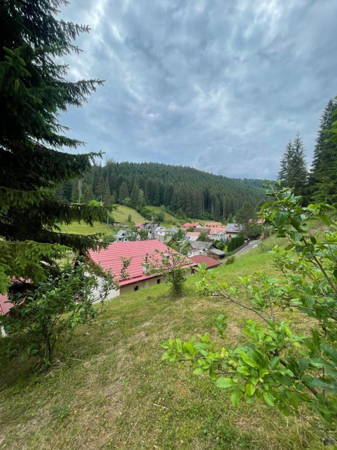 Casa De Vacanta Chesa Борсек Екстер'єр фото